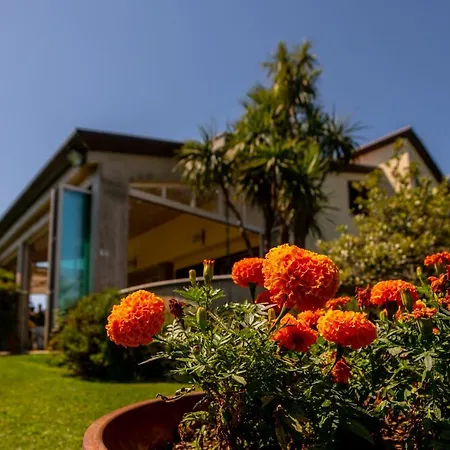 Tigli Luxury Panzió