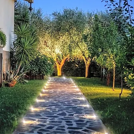 Tigli Luxury Bed & Breakfast 4*